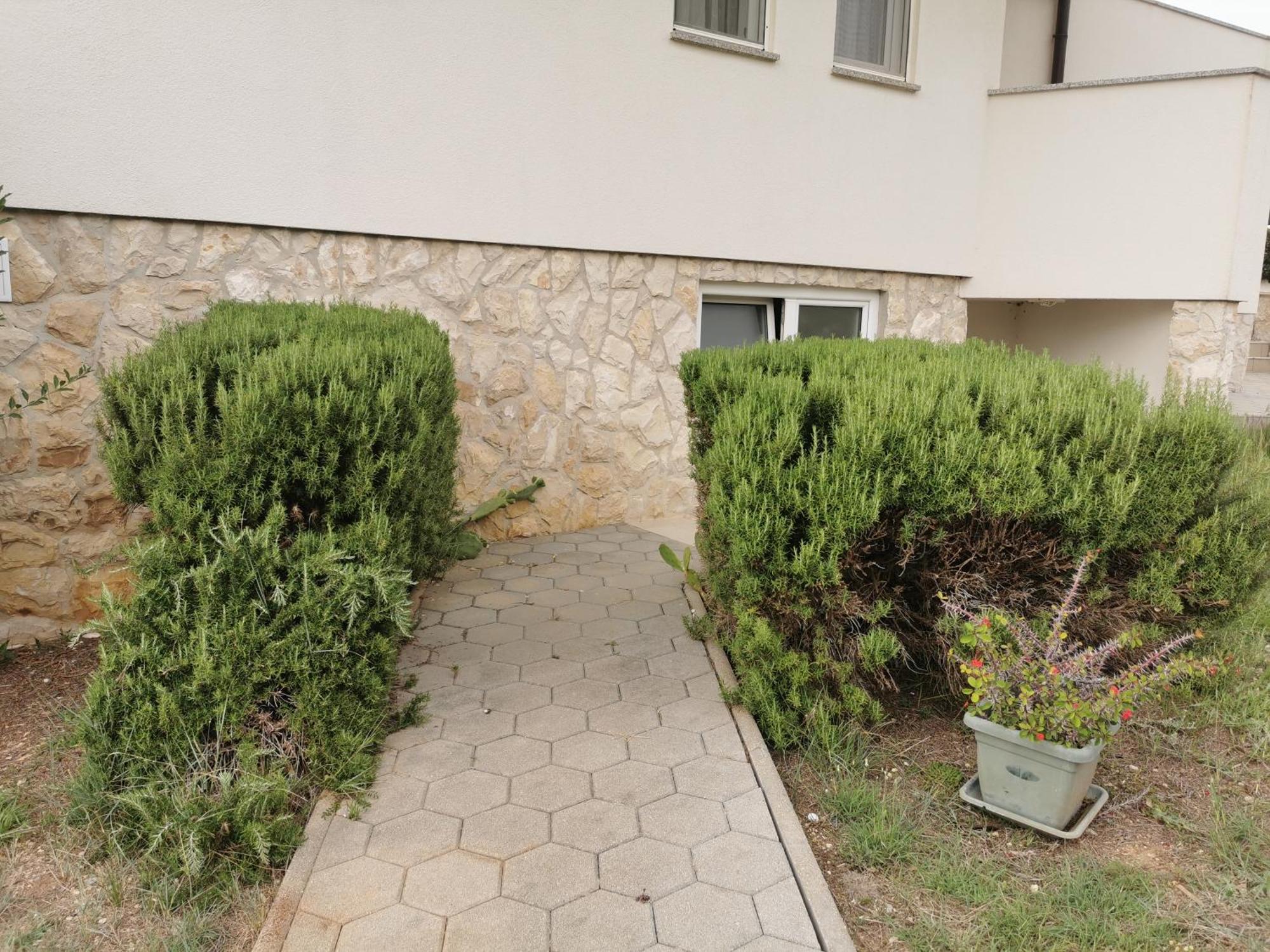 Apartments Riva Povljana Bagian luar foto